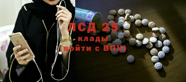ГАЛЛЮЦИНОГЕННЫЕ ГРИБЫ Вяземский