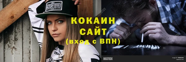 ГАЛЛЮЦИНОГЕННЫЕ ГРИБЫ Вяземский